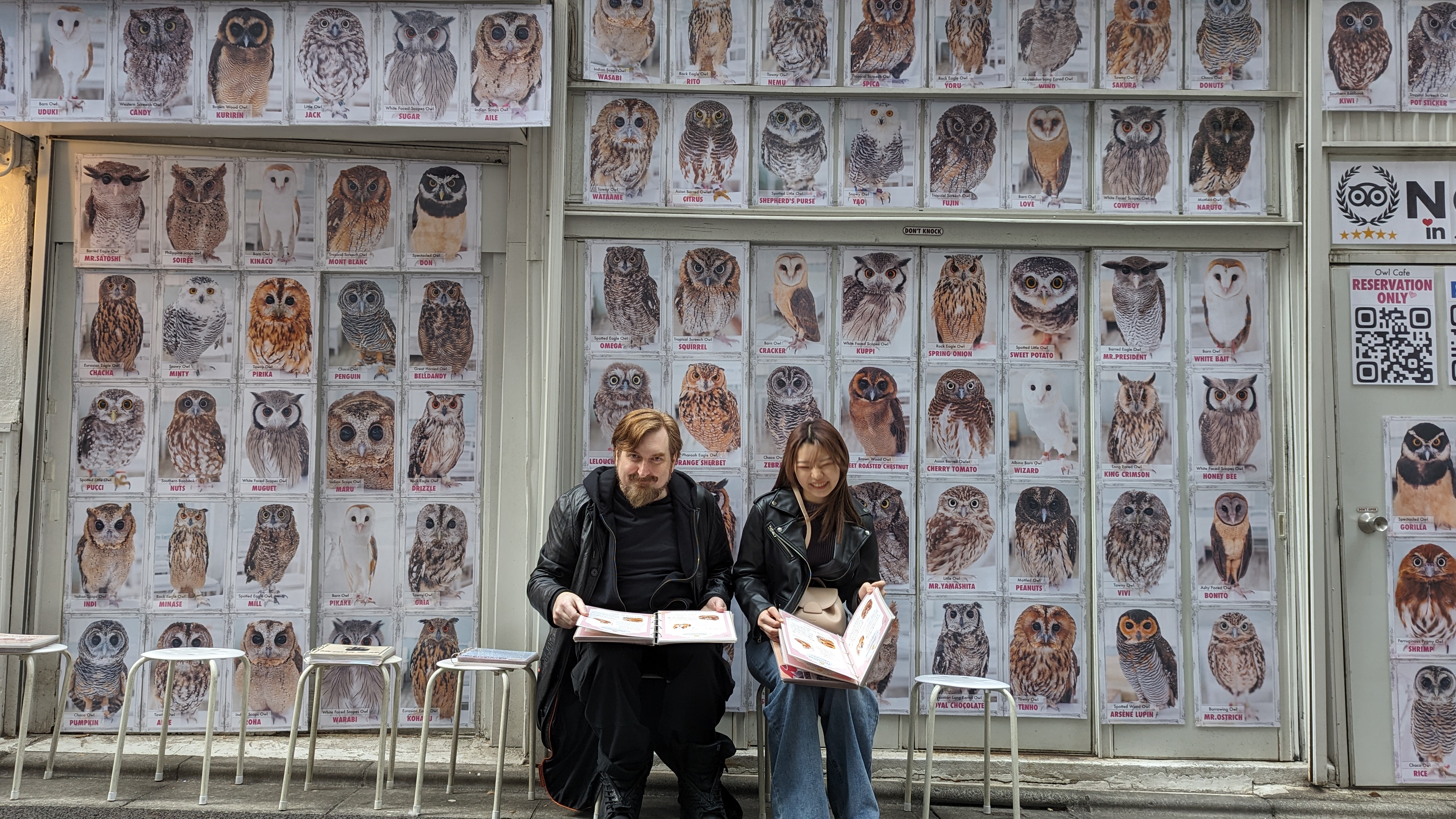 Owl cafe photo